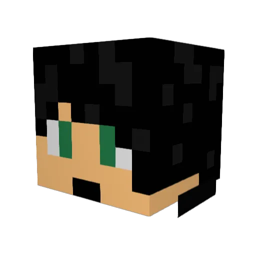 ajpwnsu Minecraft avatar head, 3D render