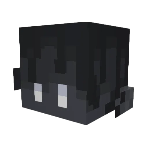 ajsnortdirt Minecraft avatar head, 3D render