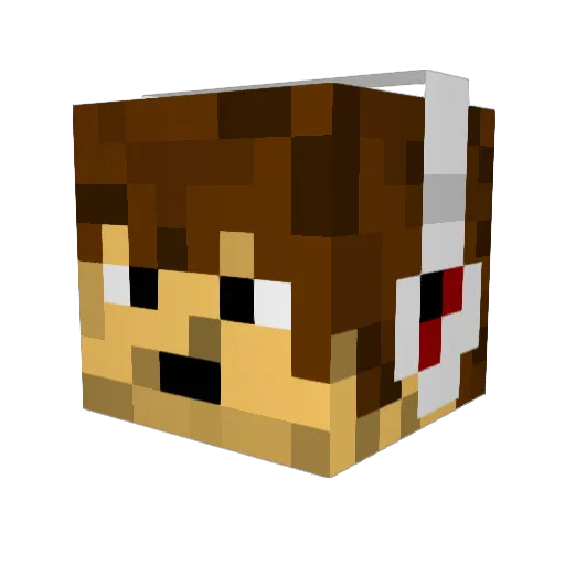 ajt2012 Minecraft avatar head, 3D render