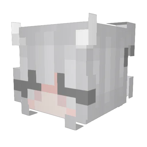 ajua1087 Minecraft avatar head, 3D render