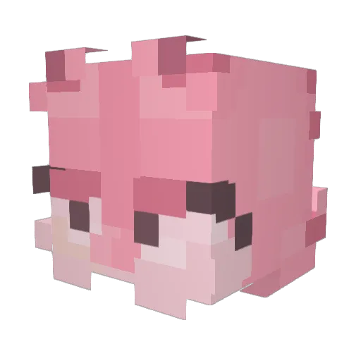 ajuba Minecraft avatar head, 3D render