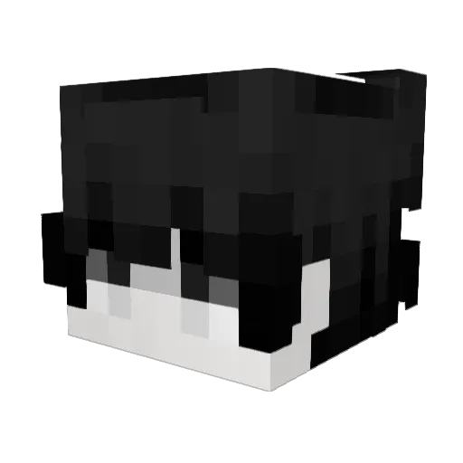 ak115 Minecraft avatar head, 3D render