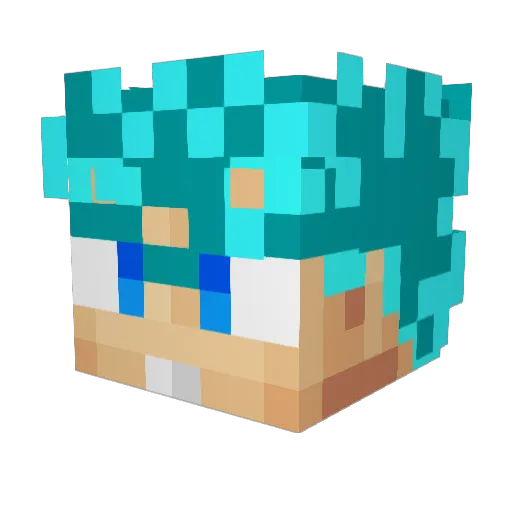 ak2evans Minecraft avatar head, 3D render