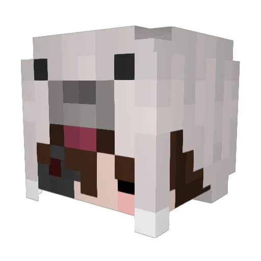 akaLeveii Minecraft avatar head, 3D render