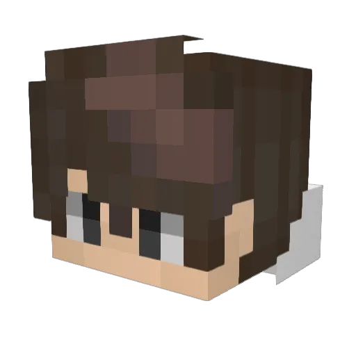 akaPD_ Minecraft avatar head, 3D render