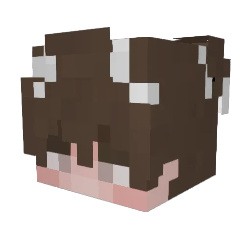 akaZeroh Minecraft avatar head, 3D render