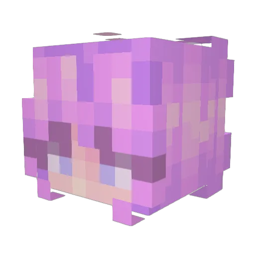 aka_audrey Minecraft avatar head, 3D render