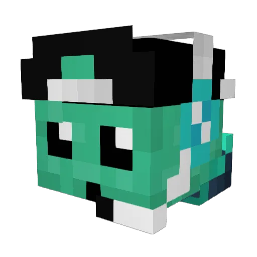 aka_life Minecraft avatar head, 3D render