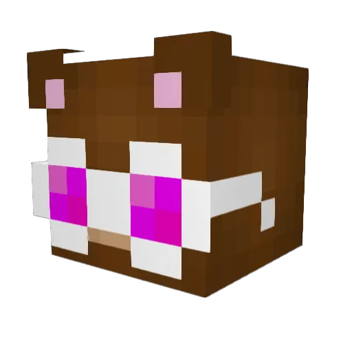 akaalo Minecraft avatar head, 3D render