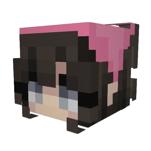 akagami369 Minecraft avatar head, 3D render