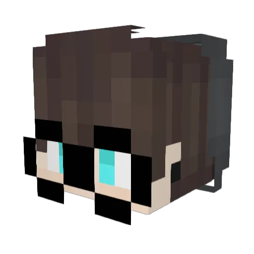 akaiame Minecraft avatar head, 3D render