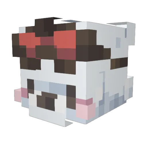 akam2009 Minecraft avatar head, 3D render