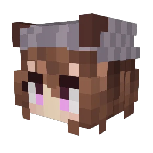 akamegakill2016 Minecraft avatar head, 3D render