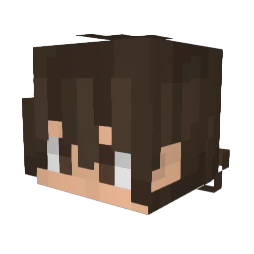 akanirvage Minecraft avatar head, 3D render