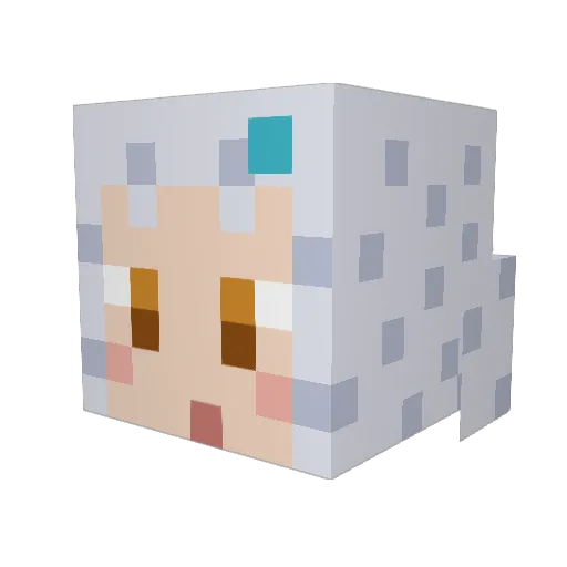 akapon53 Minecraft avatar head, 3D render