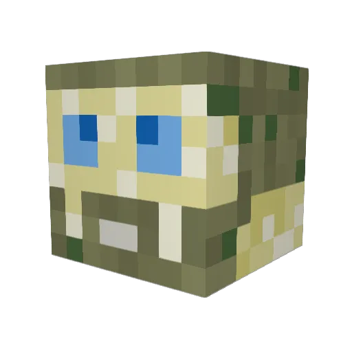 akarcticchar Minecraft avatar head, 3D render