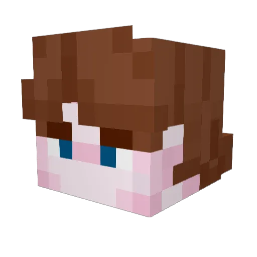 akarumei33 Minecraft avatar head, 3D render