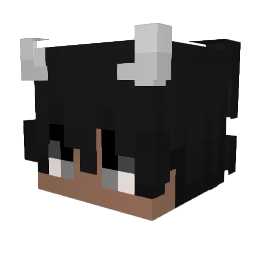 akash1004 Minecraft avatar head, 3D render