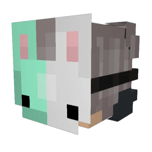 akatsuki9145 Minecraft avatar head, 3D render