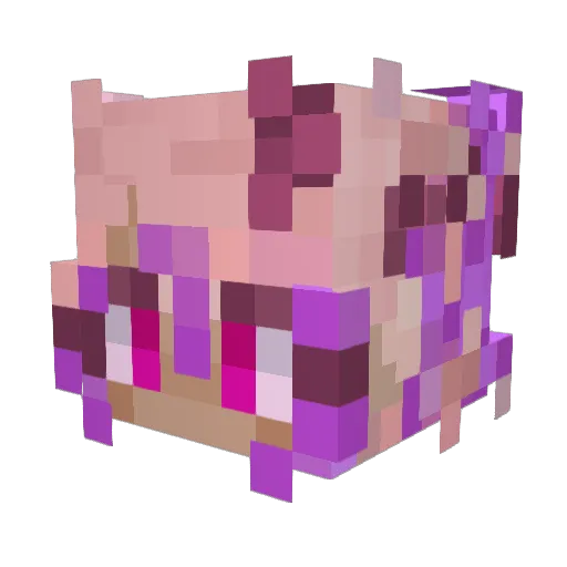akbLionheart Minecraft avatar head, 3D render