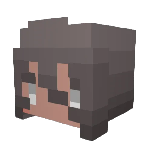akeiro8 Minecraft avatar head, 3D render
