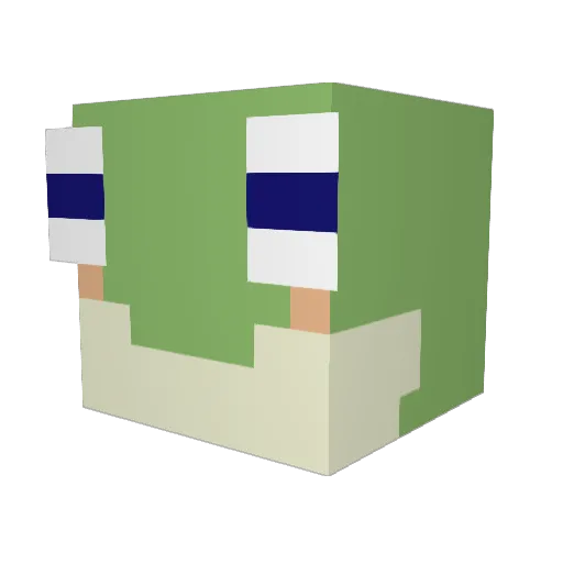 akejn Minecraft avatar head, 3D render