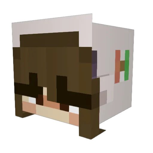 akendi Minecraft avatar head, 3D render