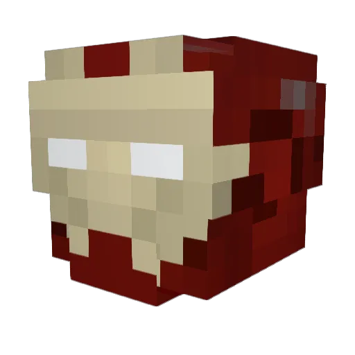 akerbis Minecraft avatar head, 3D render