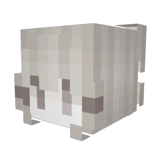 akettu Minecraft avatar head, 3D render