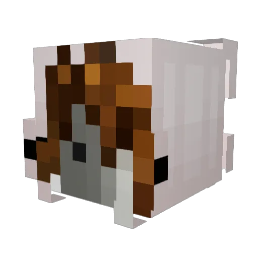 akgnn Minecraft avatar head, 3D render