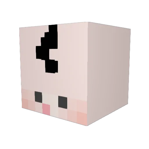 aki0221_ Minecraft avatar head, 3D render