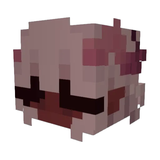 aki11123 Minecraft avatar head, 3D render