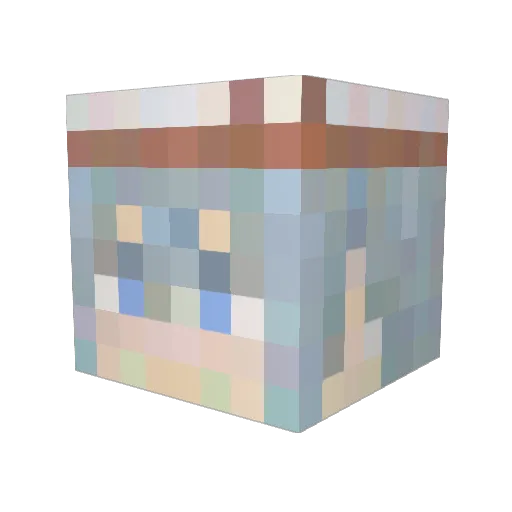 aki164 Minecraft avatar head, 3D render