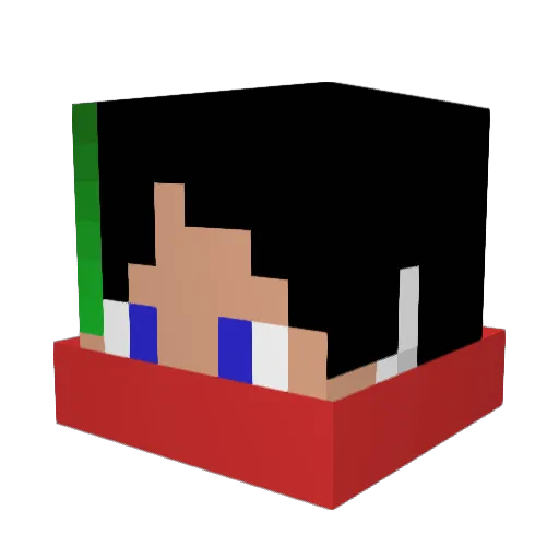 akiKun0 Minecraft avatar head, 3D render