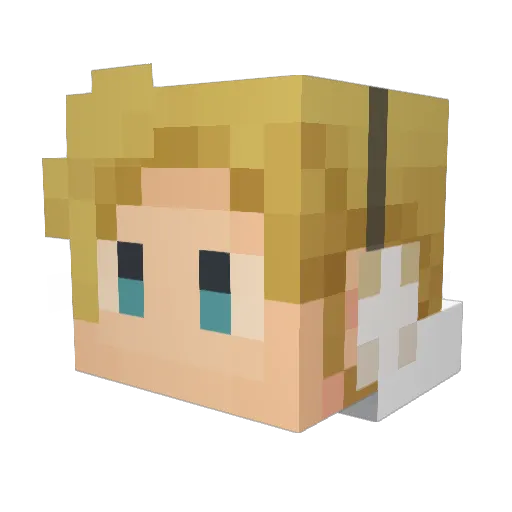 aki_tsune Minecraft avatar head, 3D render