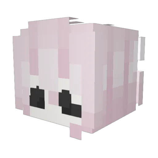 akibbyyy Minecraft avatar head, 3D render