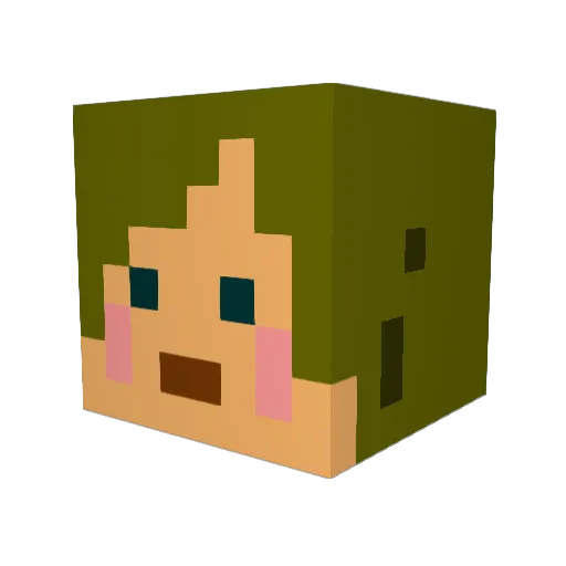 akiemonn Minecraft avatar head, 3D render