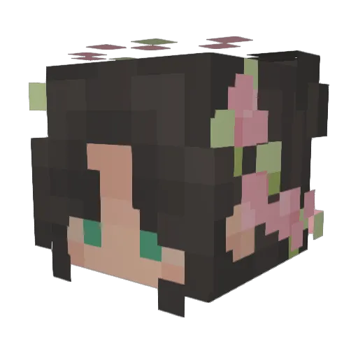 akiisoa Minecraft avatar head, 3D render