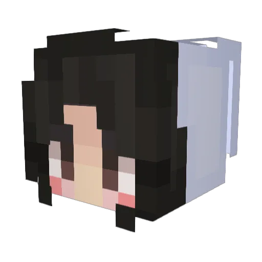 akiizoraa Minecraft avatar head, 3D render