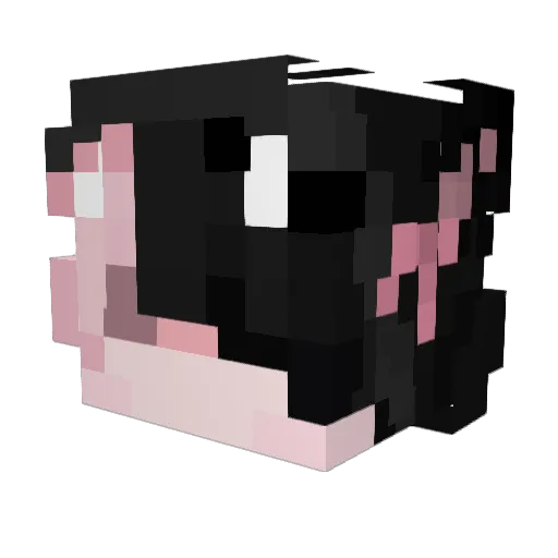 akimen99 Minecraft avatar head, 3D render