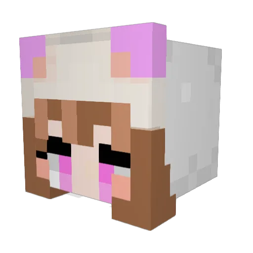 akina_0517 Minecraft avatar head, 3D render