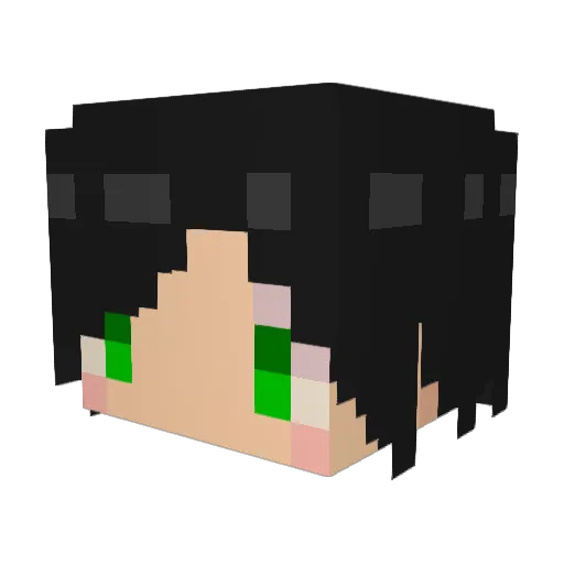 akio0326 Minecraft avatar head, 3D render