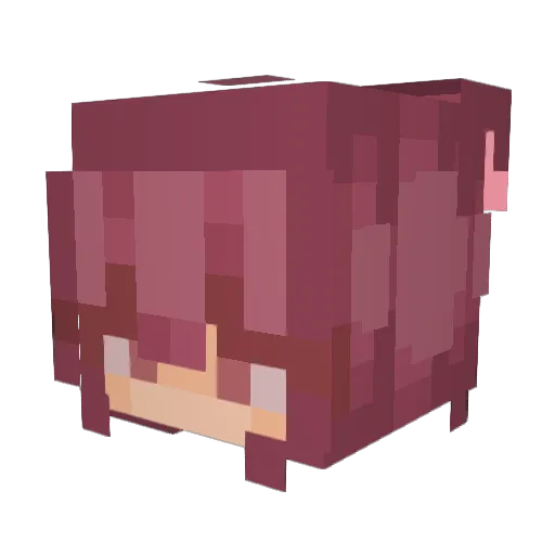 akiphobic Minecraft avatar head, 3D render