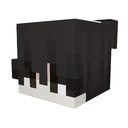 akiracrsd Minecraft avatar head, 3D render