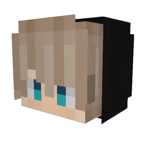 akirtto3 Minecraft avatar head, 3D render