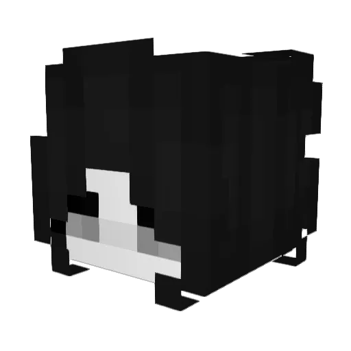 akiyanoraXDD Minecraft avatar head, 3D render