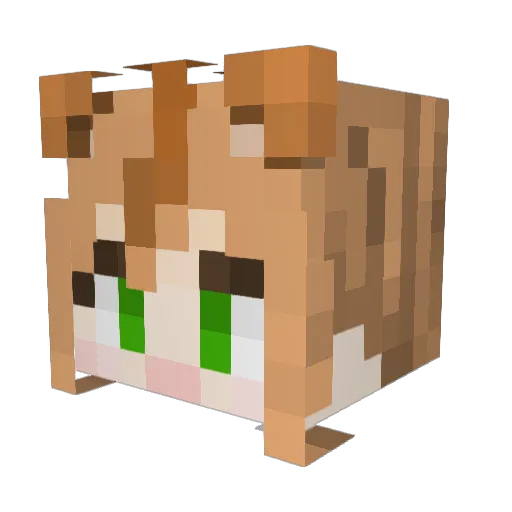 akk3476 Minecraft avatar head, 3D render