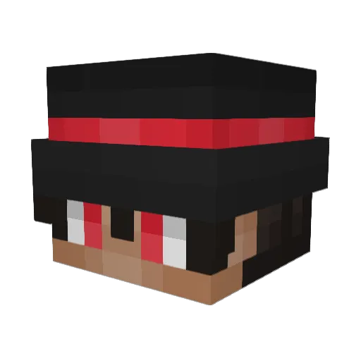 akkyshakky Minecraft avatar head, 3D render