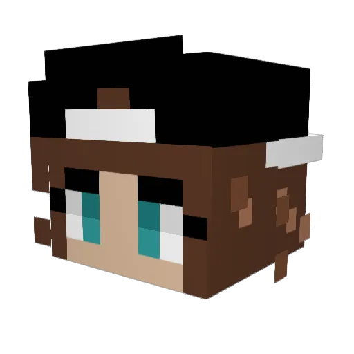 akneilunin Minecraft avatar head, 3D render