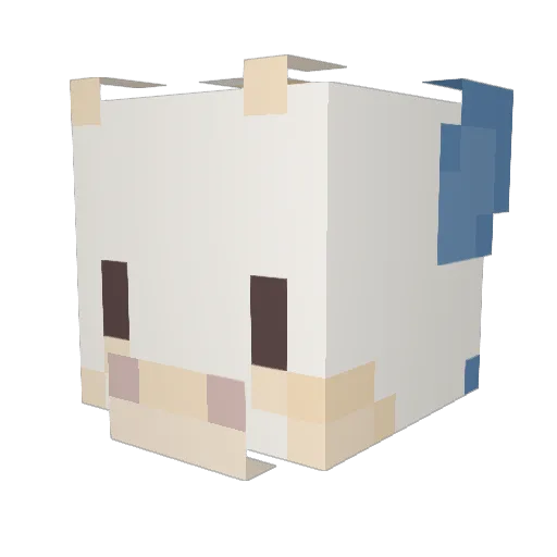 akoch8706 Minecraft avatar head, 3D render